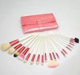 Kit 20 Pincéis Rosa